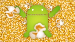 flash a custom kernel