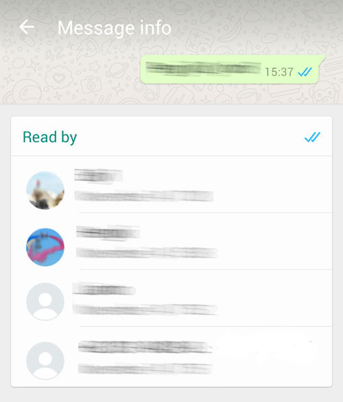 whatsapp-msg-info-2