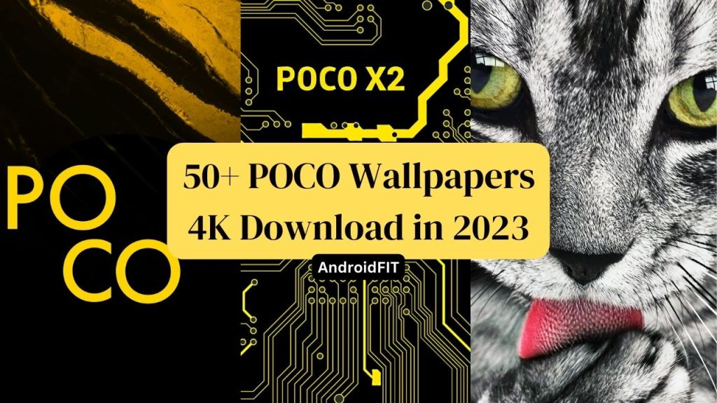 50+ POCO Wallpapers 4K Download in 2023