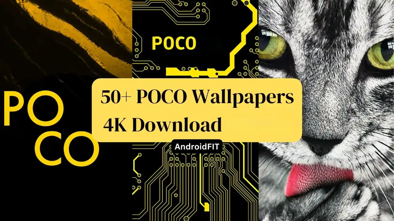 50+ POCO Wallpapers 4K Download in 2026