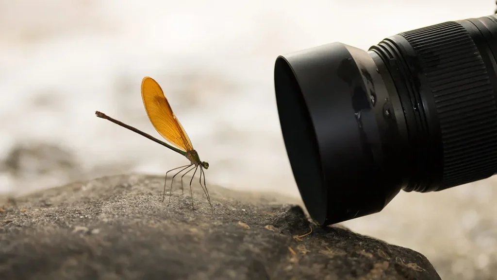 macro lens