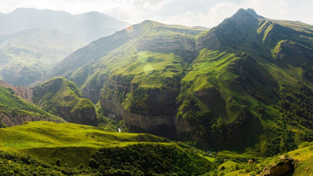 Lush green jungle photo free download