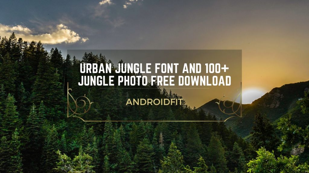 Urban Jungle Font and 100+ Jungle Photo Free Download