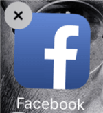 delete the facebook app