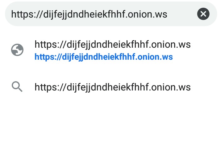 onion.ws