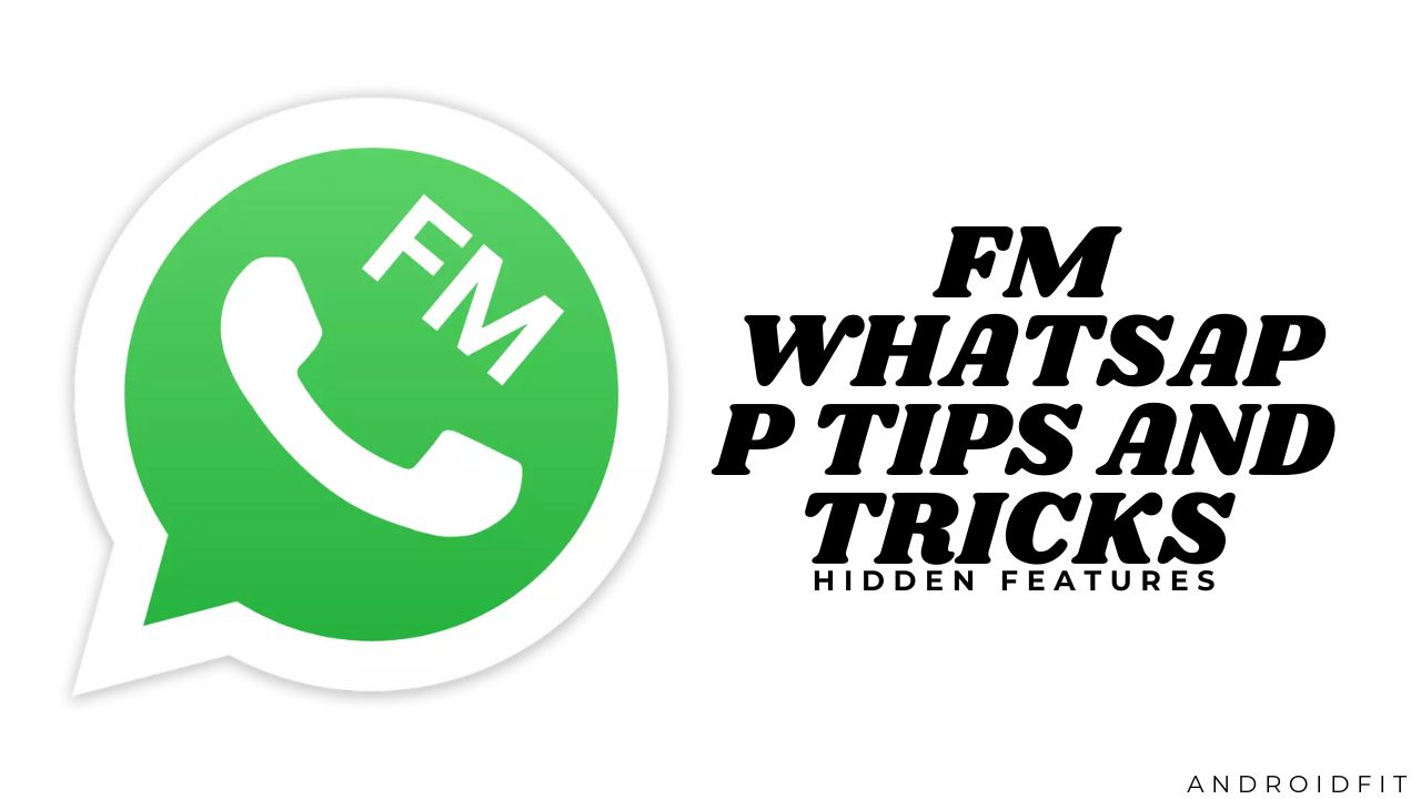 FM Whatsapp Tips And Tricks – Hidden Features