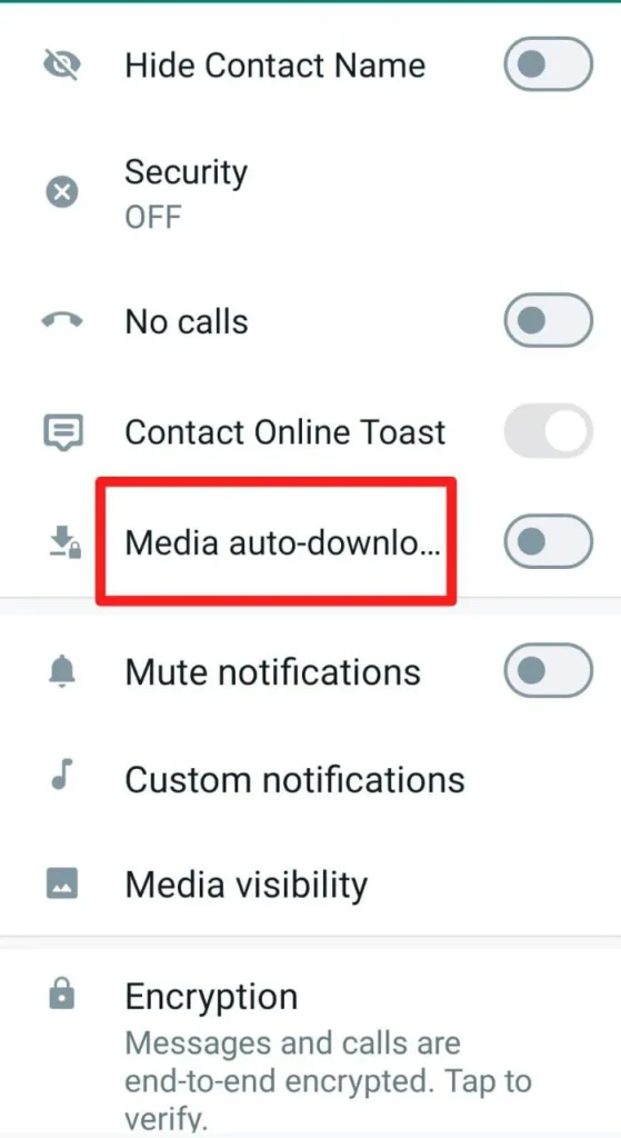 Media Auto Download For Specific Chats